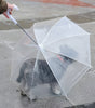 Paragua para mascota portátil, mantén a tu peludo libre de la lluvia