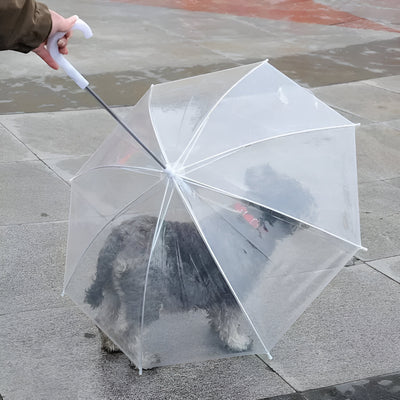 Paragua para mascota portátil, mantén a tu peludo libre de la lluvia