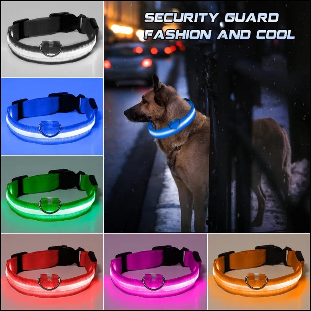Collar de seguridad nailon con luz incorporada para mascota