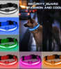 Collar de seguridad nailon con luz incorporada para mascota