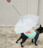 Paragua para mascota portátil, mantén a tu peludo libre de la lluvia