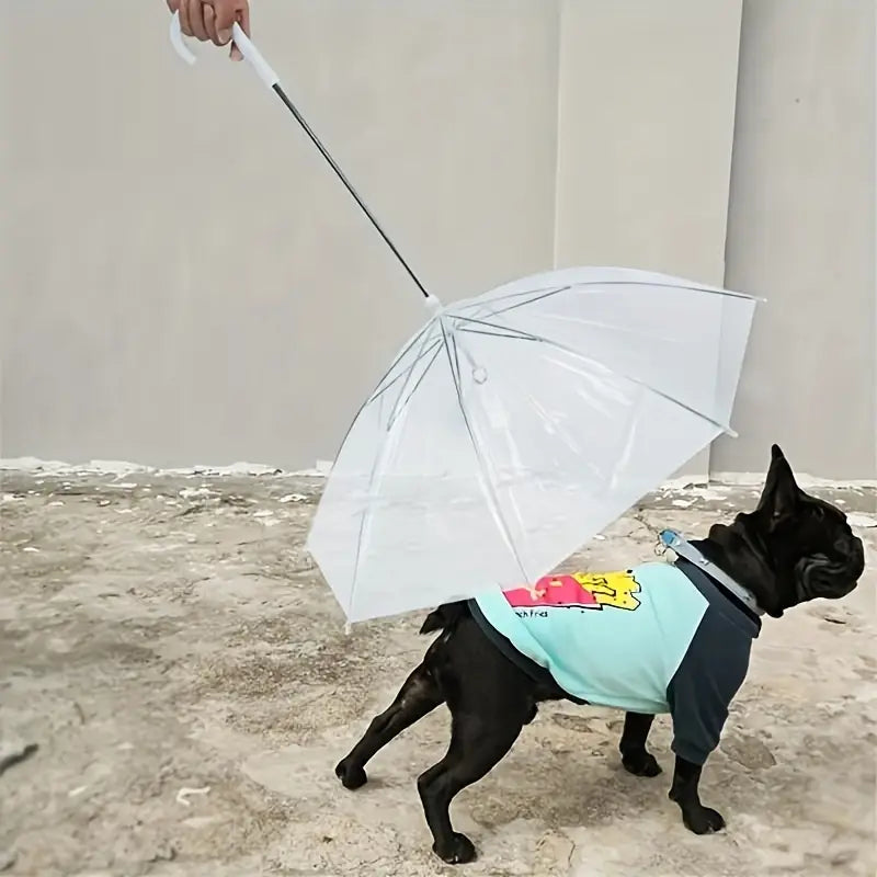 Paragua para mascota portátil, mantén a tu peludo libre de la lluvia