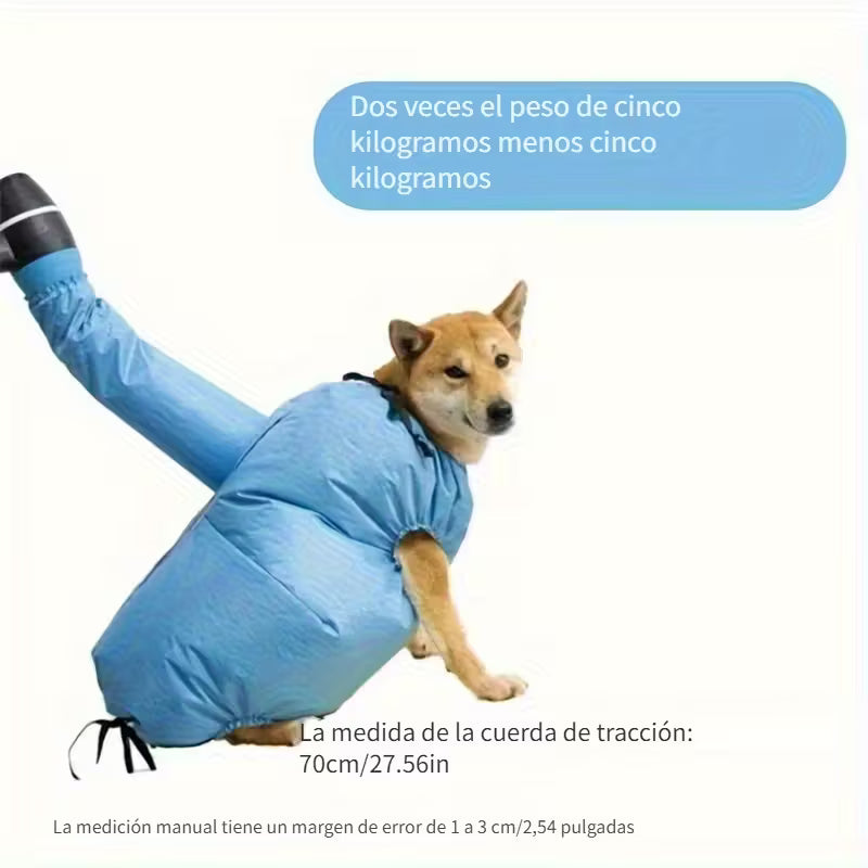 Secador de pelo para perros