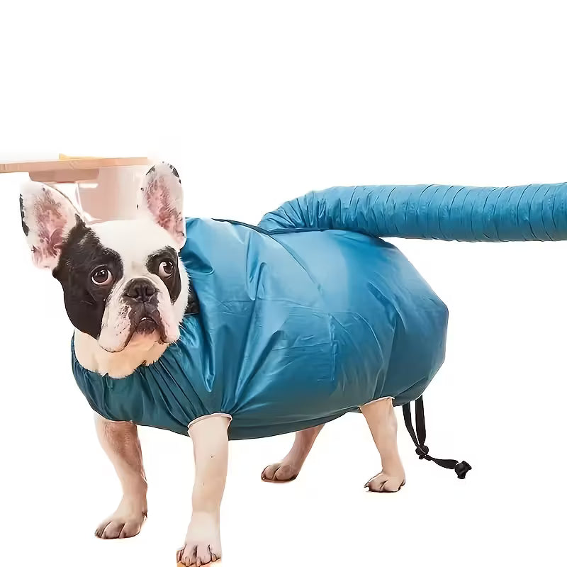Secador de pelo para perros